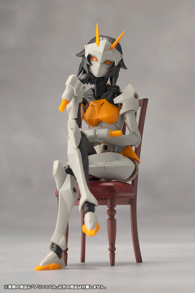Product image 23